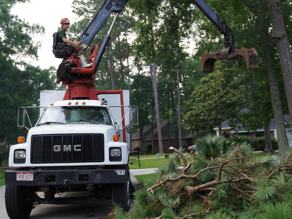Emergency Storm Cleanup | R M Tree Care