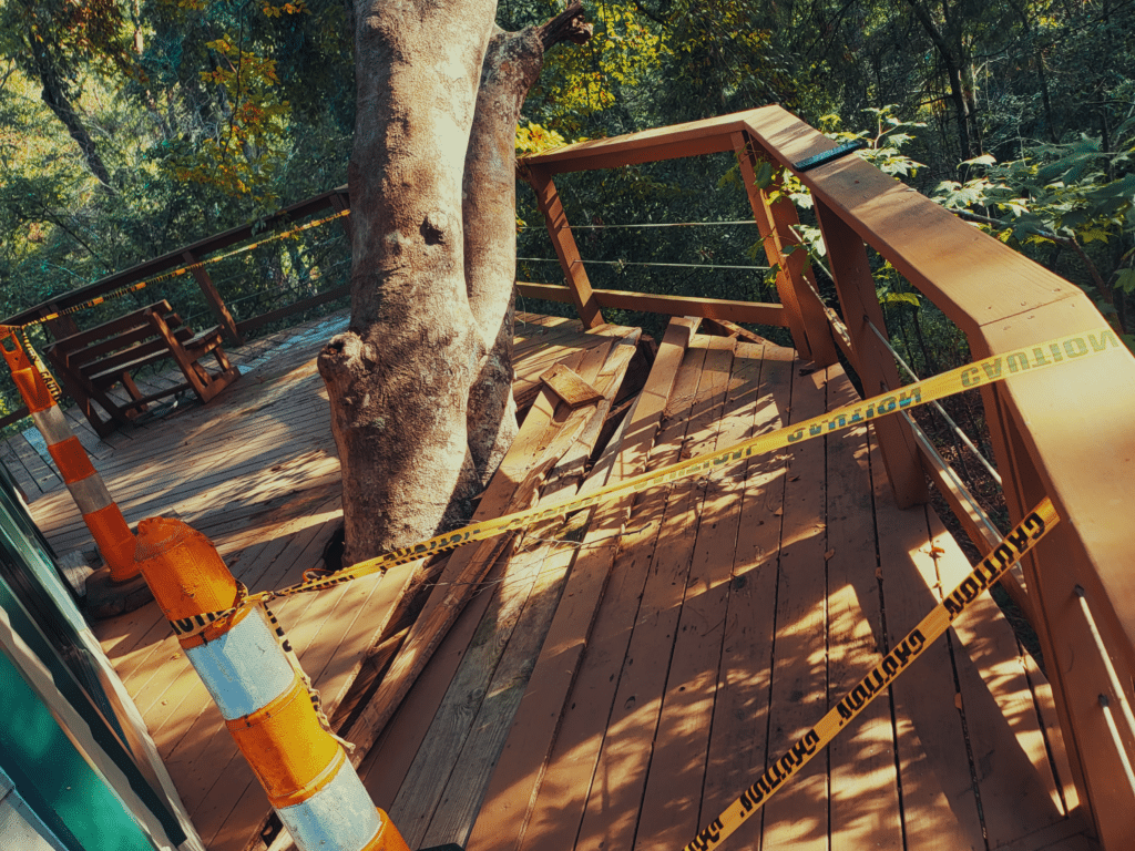 Emergency Storm Cleanup in Florida | R M Tree Care