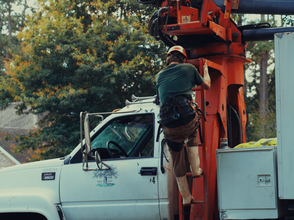 Emergency Storm Cleanup | R M Tree Care