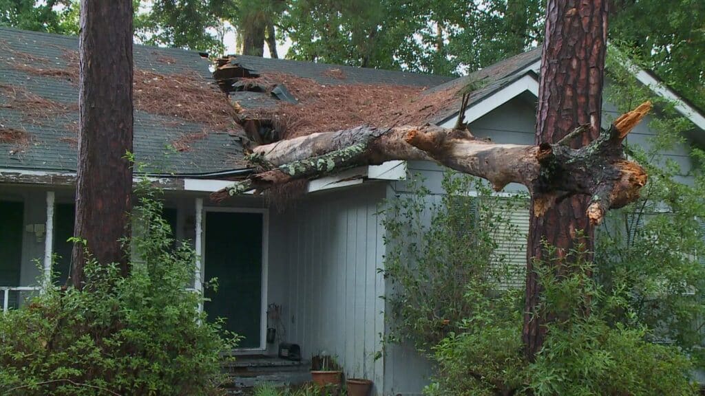 Why get financing? | R M Tree Care