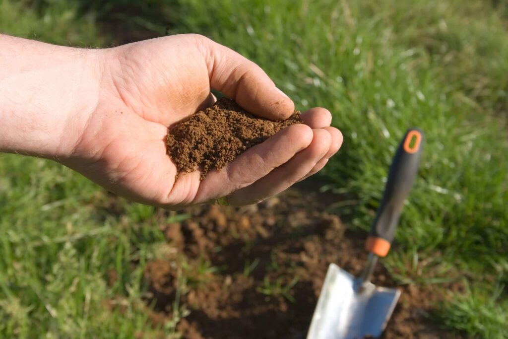 R M Tree Care | Soil Testing