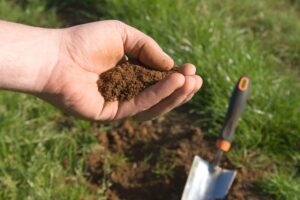 R M Tree Care | Soil Testing